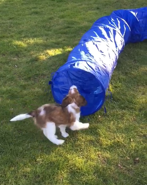 Wo ist denn da der Eingang?